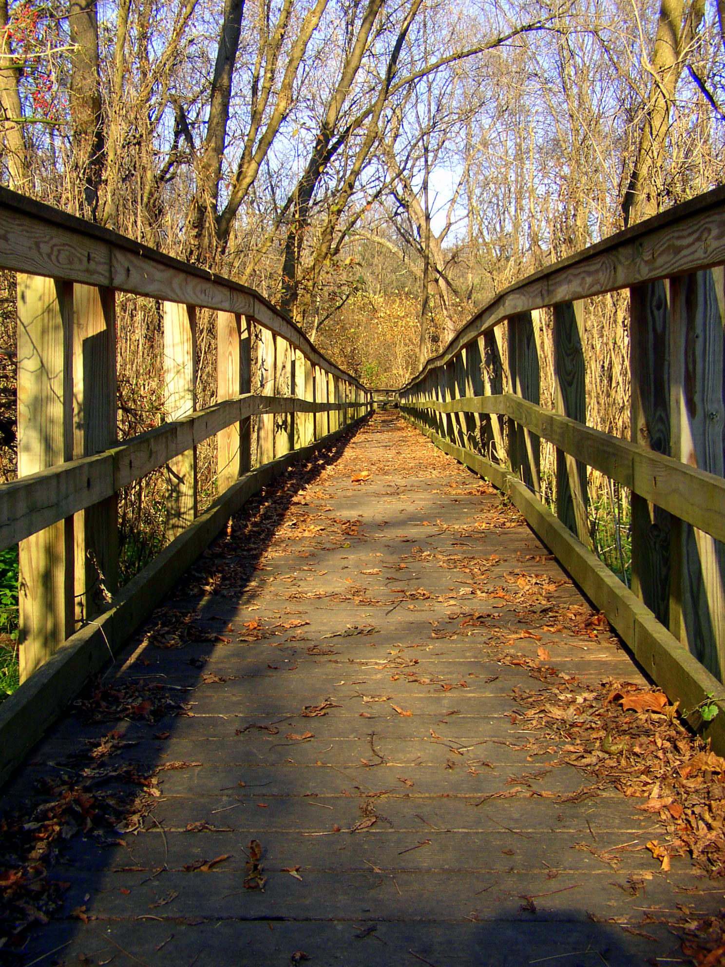 Wildlands Conservancy Trail Wildlands Conservancy Trail