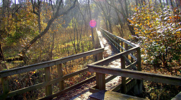 autumn-light