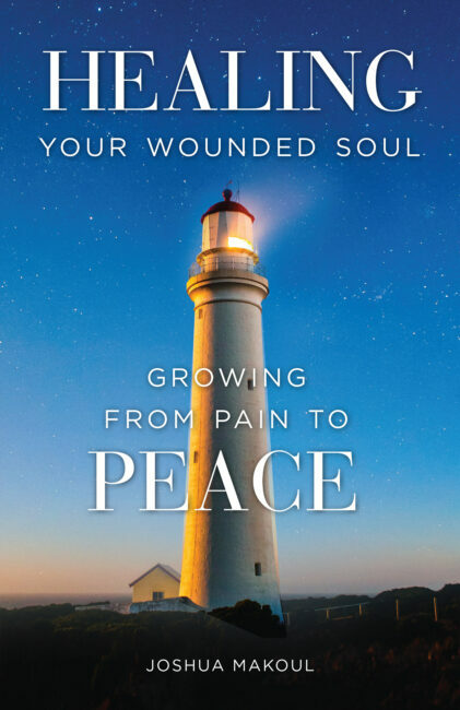 A Healing Driven Life book cover
