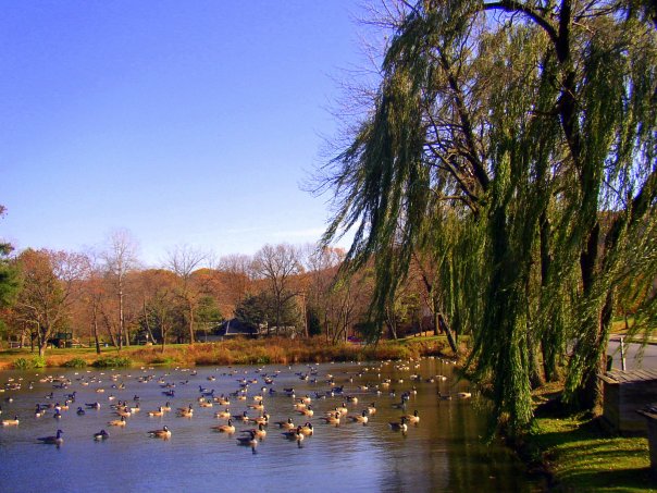 Furnace Dam Park