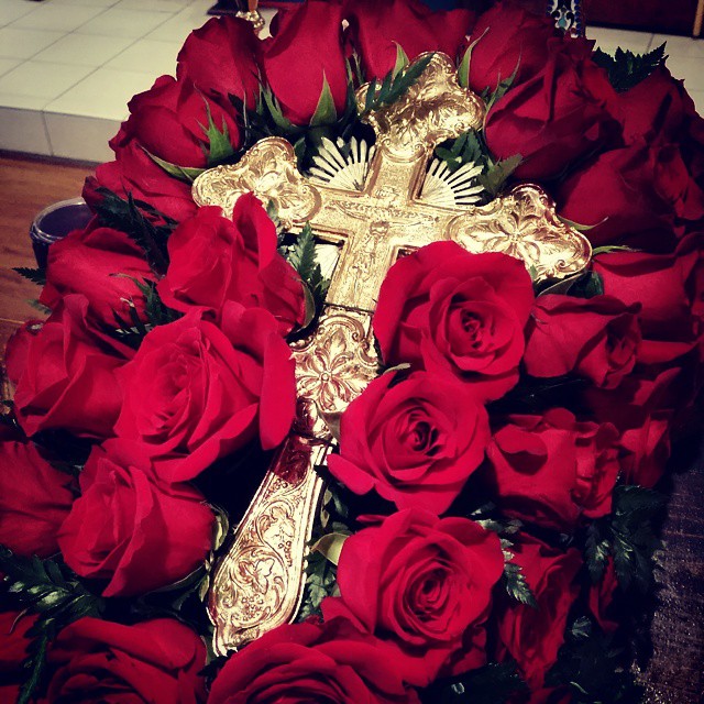 cross-roses