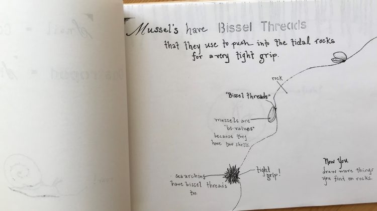 Drawing of bissell threads