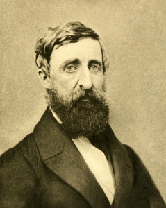 Henry_David_Thoreau_-_Dunshee_ambrotpe_1861