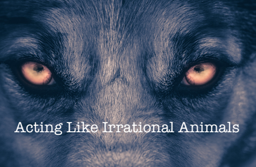 Acting Like Irrational Animals – Faith Encouraged