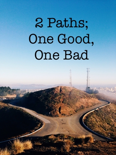 two paths good and bad