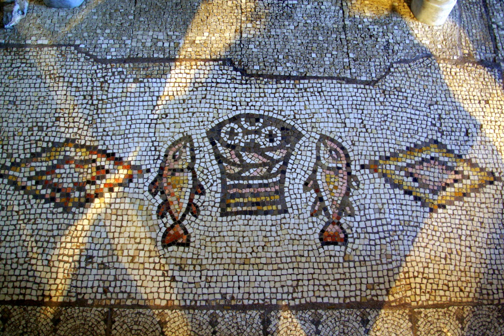 Church Floor in Tabgha, next to the Sea of Galilee (From Wikimedia Commons)